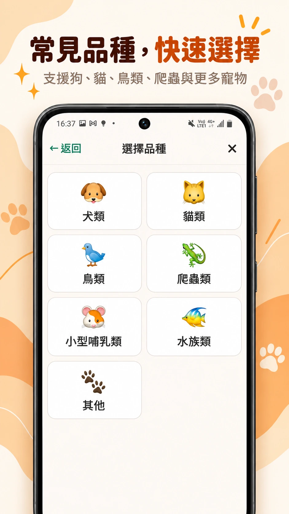 寵叮:常見品種,快速選擇